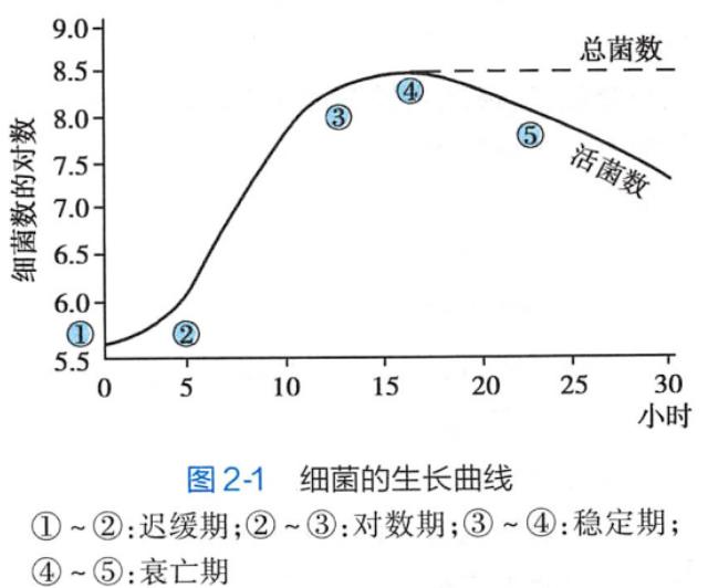 細菌的生長繁殖與環境條件