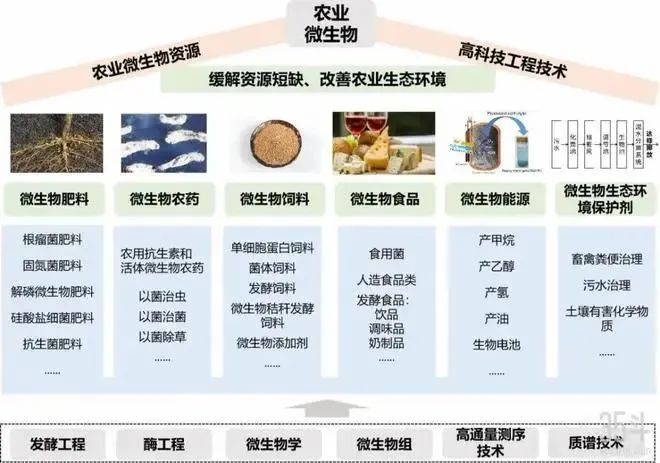 一文了解什么是農(nóng)業(yè)微生物和農(nóng)業(yè)微生物產(chǎn)業(yè)