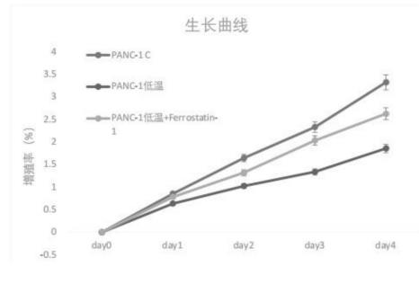 利用CIRBP作為胰腺癌診斷及治療分子標(biāo)記物（細(xì)胞增殖生長曲線檢測(cè)步驟）