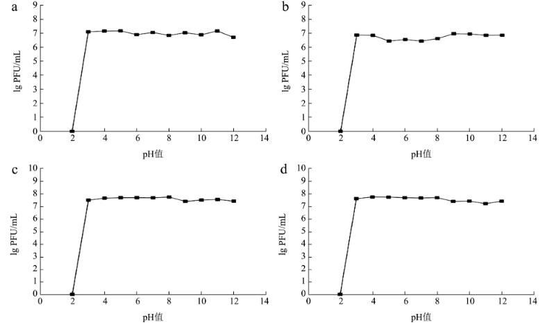 ?4株金黃色葡萄球菌噬菌體形態、生物學特性、生長曲線及基因組特征（二）