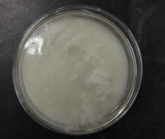 解磷微生物作用機(jī)制、應(yīng)用及研究歷史