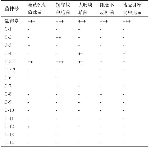 豨薟草果實內生細菌分離、鑒定、生長特性、抑菌效果及藥敏分析（一）