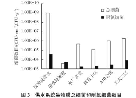 東北某市寒區湖庫型主體水和生物膜中耐氯菌數目、再生長現象研究（二）