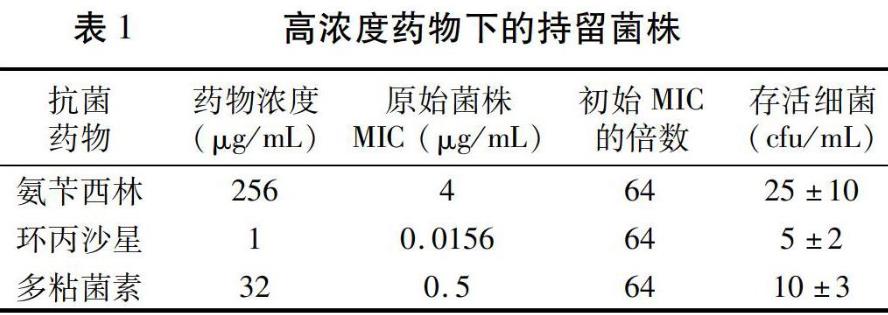三種抗菌藥物處理后持留菌株和抗藥菌株生長曲線、優勢的比較——摘要、材料與方法