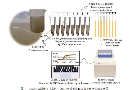 微生物生長曲線監測儀測定納米銀對副溶血弧菌的最小抑菌濃度（二）