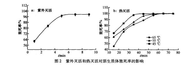羅爾阿太菌生長曲線、原生質體制備條件及融合技術（三）