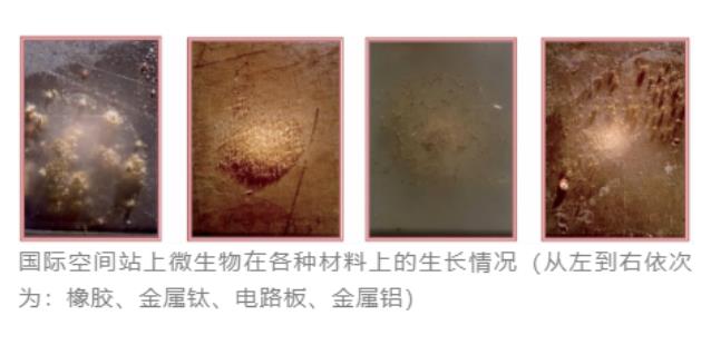空間站微生物來自哪里？微生物培養(yǎng)法檢測技術(shù)