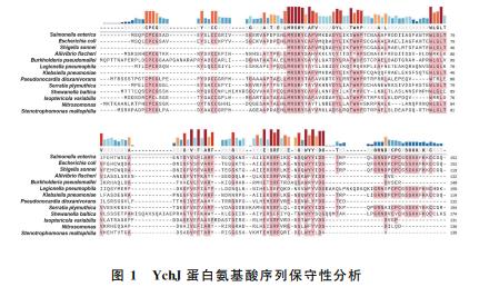 生長曲線測定法和菌落計數法確定YchJ對鼠傷寒沙門菌抗逆能力的影響——方法
