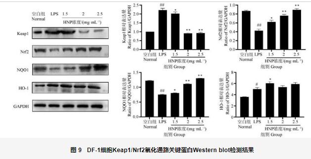 呼寧散對雞肺源大腸桿菌生長曲線、細胞壁的影響及抑制效果——討論、結論