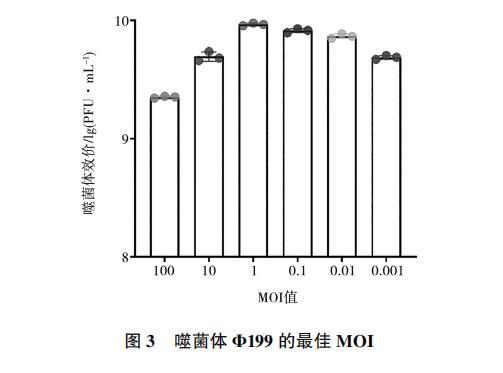 大腸桿菌噬菌體Φ199一步生長曲線、與鹽酸克林霉素體外聯(lián)合應用效果（二）