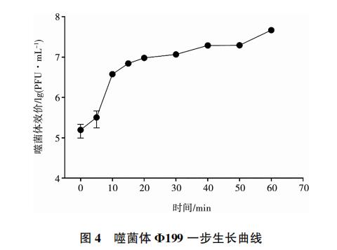 大腸桿菌噬菌體Φ199一步生長曲線、與鹽酸克林霉素體外聯(lián)合應用效果（三）